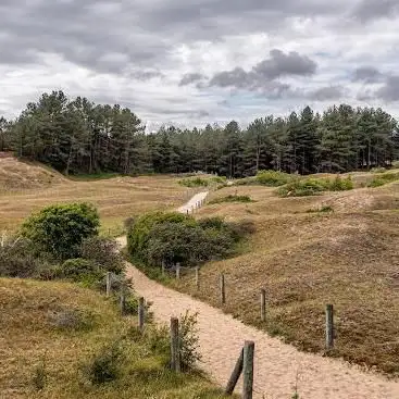 Dunes du Mont Saint-Frieux