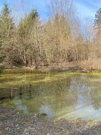 Biotop Rütenen