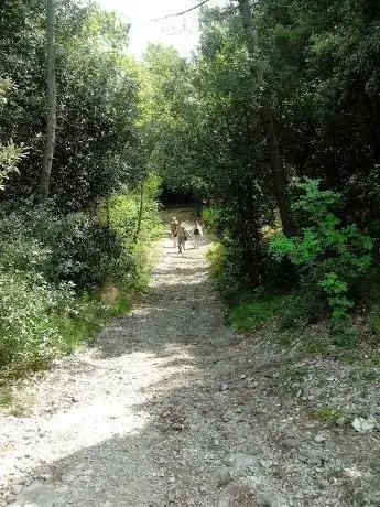 Photo de Le Cave di Piero