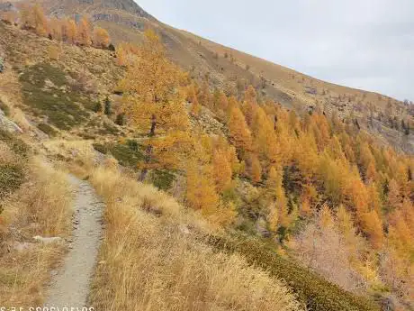 Ricordi di