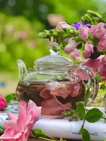 Photo de Wild Ivy Retreats