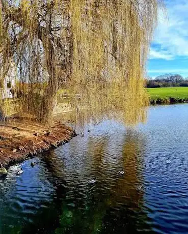 Photo de Liston Mill