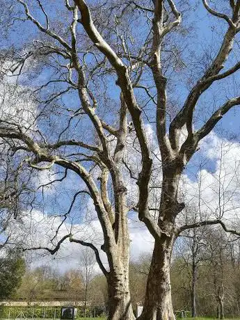 Photo de Parc Charron