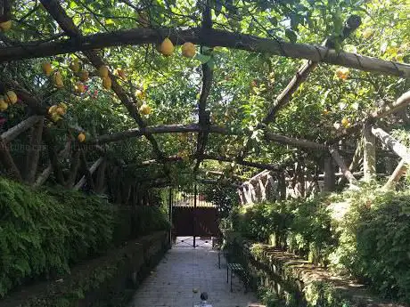 Photo de Agruminato Garden