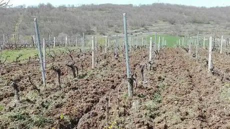Photo de Campo Da Calcetto Bar