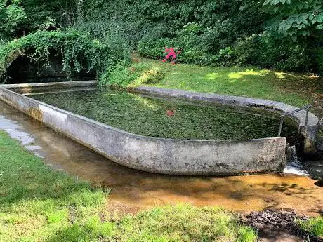 Photo de Fontaine Jules César