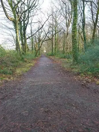Nursery Wood