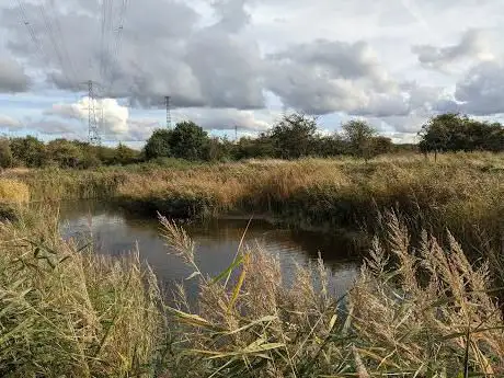 Photo de Botany Marshes