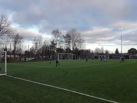 Bucklers Mead Astro Turf