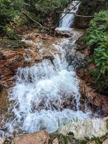 Photo de Torrente Cavallizza