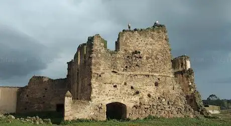 Photo de Palacio de los Pizarro (Ruinas)