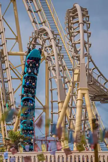 Photo de Cobra