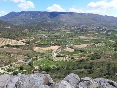 Photo de Parc naturel Régional Corbières-Fenouillèdes