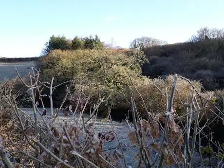 Photo de Palmers Dam