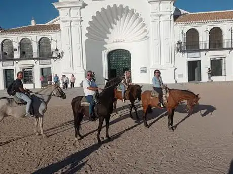 Doñana Horse
