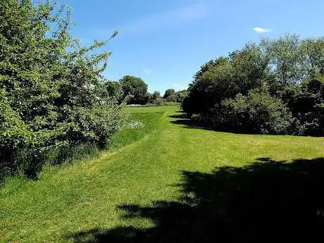 Poplar Tree Farm