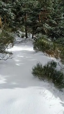 Photo de Vereda del Infante