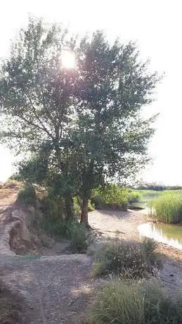 Photo de Balsa de Pulguer