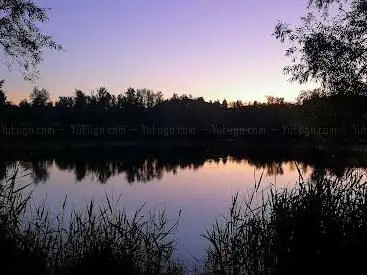 Photo de Les étangs de Bellevue
