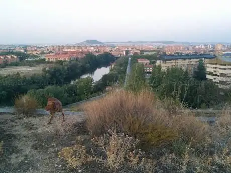 Photo de Mirador Parque De Los Almendros
