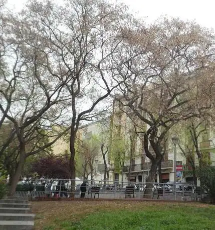 Photo de Navas Park
