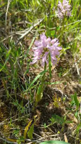 Oasi Naturalistica Privata