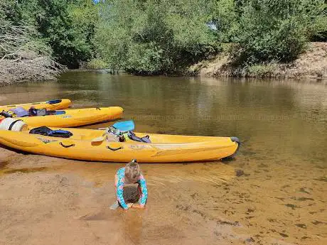 Photo de Amazone Canoe