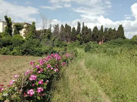 Photo de Orti Urbani