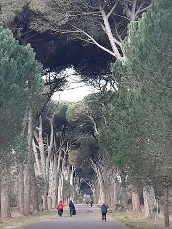 Photo de Via del Gombo  Parco San Rossore