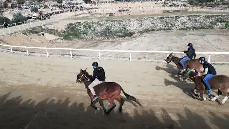 Photo de Circuit de Cavalls Sant Antoni
