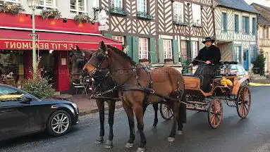Photo de Calèche de Saint-Pierre