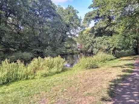 Oakenshaw Wood
