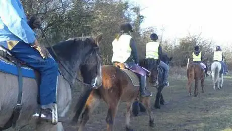 Photo de Horses for Causes/Soar Valley Western Stables