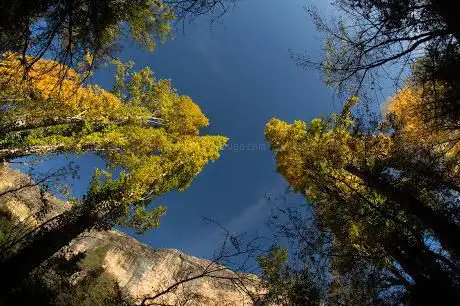 Photo de Presa Fábrica de la Luz