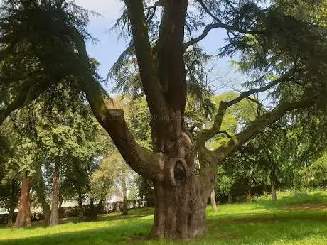 Photo de Bewdley Hill Wood