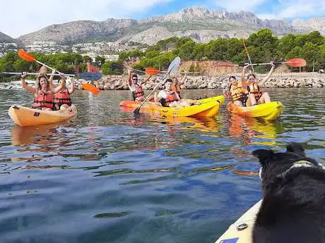 Photo de KAYAK CLUB ALTEA