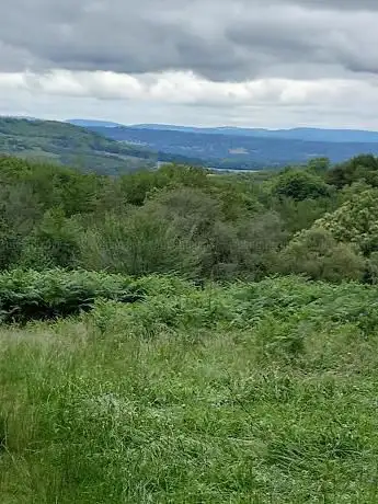 Photo de National Trust - Marley Common