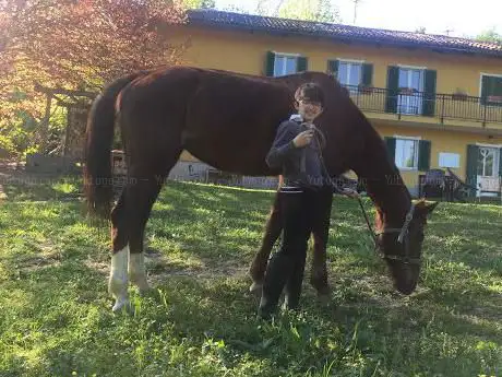Val Salice Horses
