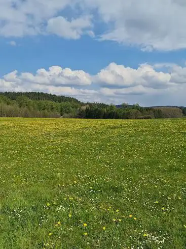Photo de Litermont Sagenweg