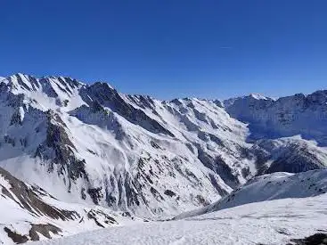 Photo de Tête De Crevacol