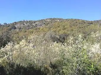 Arboretum de Gratteloup