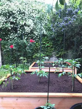 Photo de Mon Bac Potager