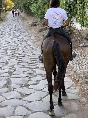 Photo de Cavalieri Appia Antica