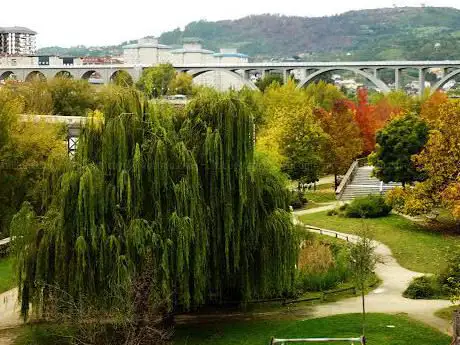Photo de Parque da Ribeira de Canedo
