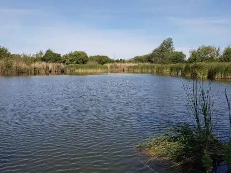 Photo de Essex Leisure Fisheries