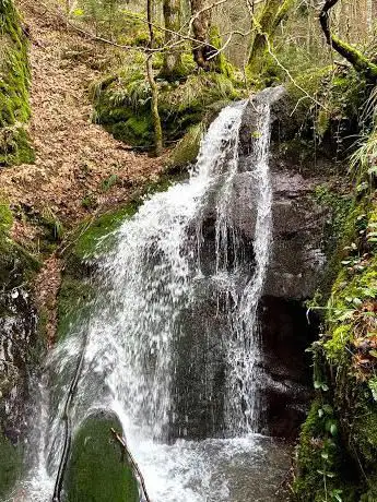 Photo de Cascade de l'Erzenbach