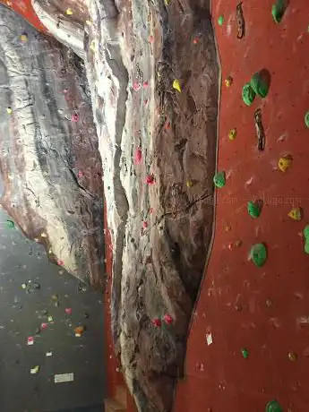 Gecko escalade Sàrl
