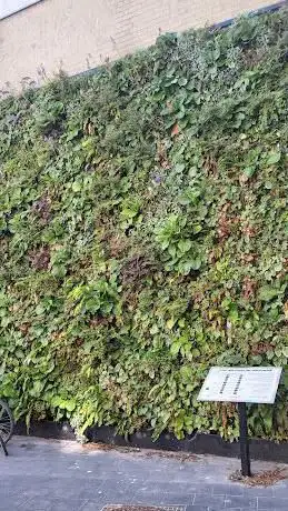 Verticale tuin