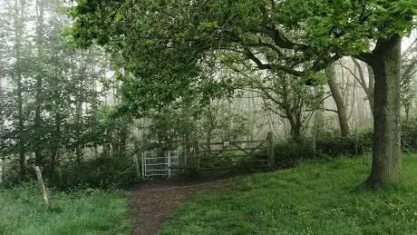 Photo de Paraker Wood