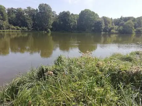 Photo de Forêt de Compiègne